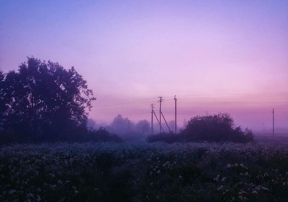 2026世界杯投注官方入口-天津女排夺联赛第13冠 江苏因伤变阵失副攻配合